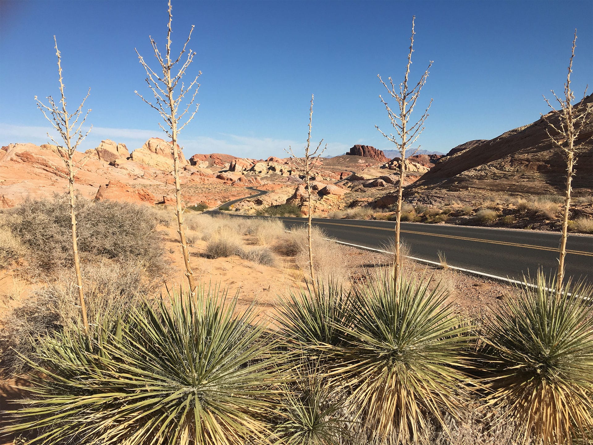 valley-of-fire-visite-français-las-vegas-aventures