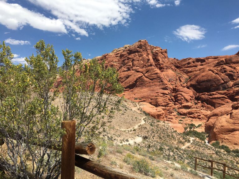Red-rock-canyon