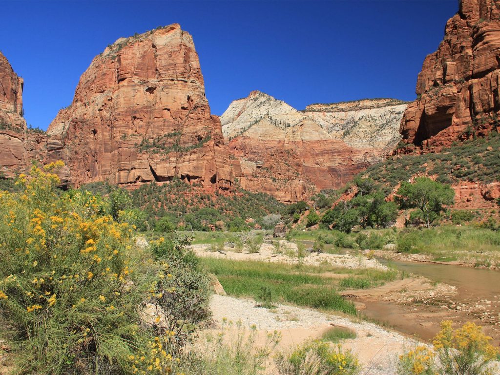 zion virgin river