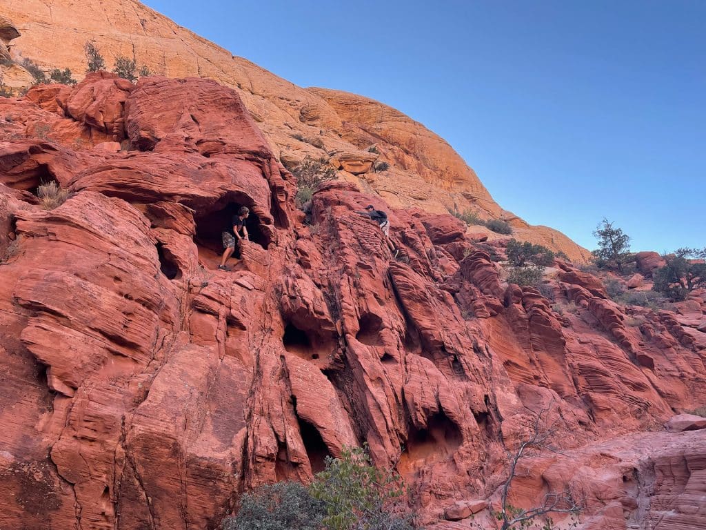 randonnée-vue-las-vegas-red-rock-canyon-visite