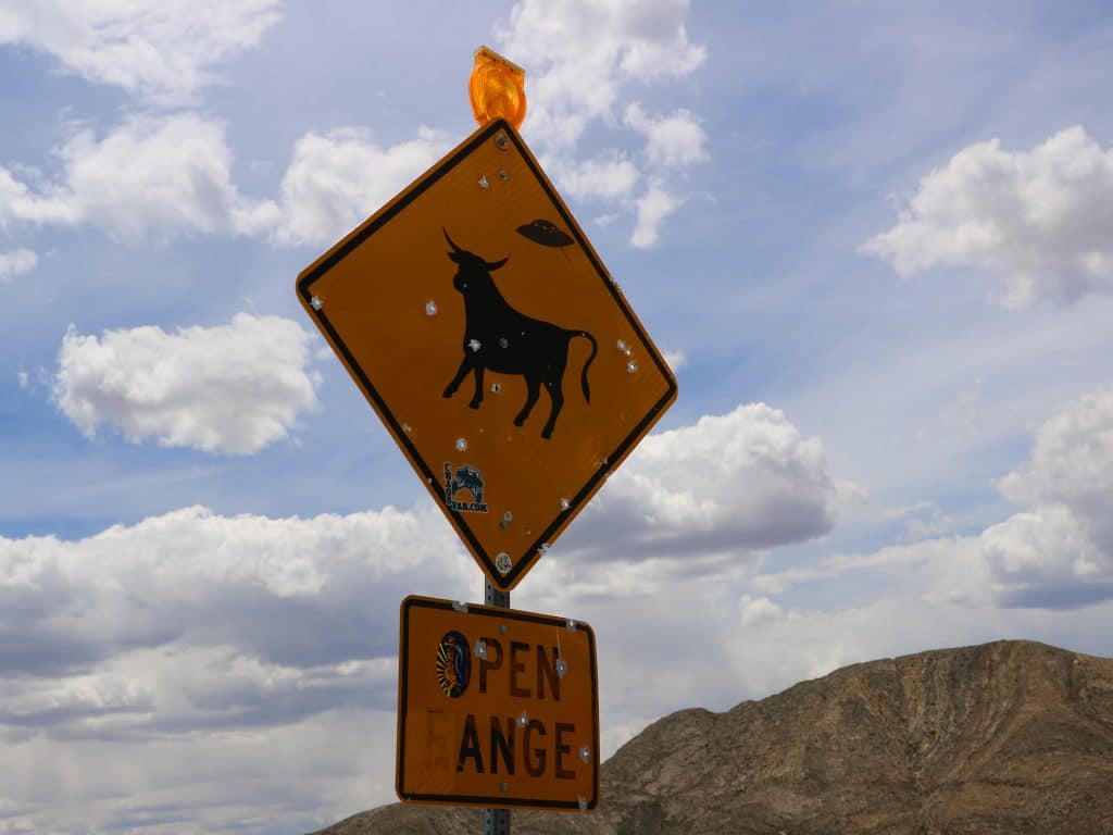 panneau-vache-alien-zone-51-visite-français-las-vegas-aventures