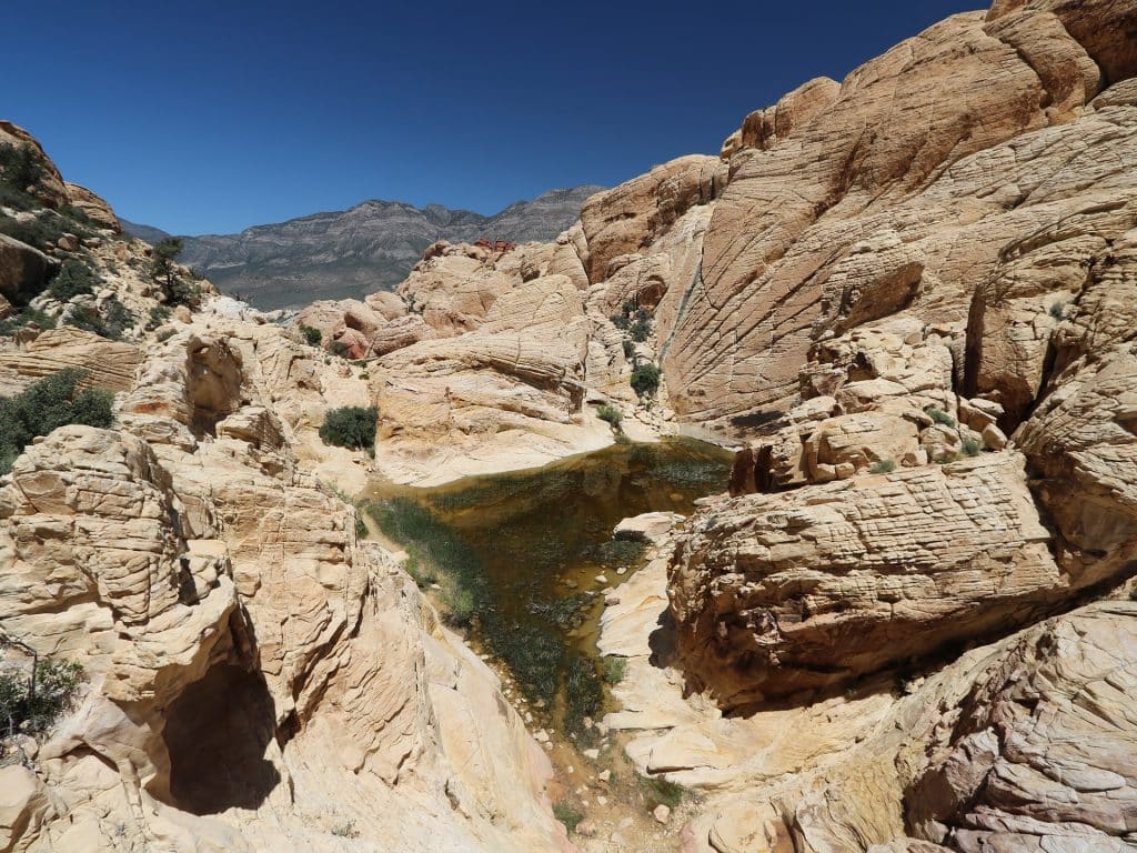 Red-rock-canyon-randonnée-Calico Tanks-las-vegas-aventures
