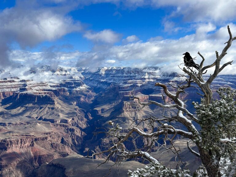 Grand canyon sous la neige - Las vegas Aventures