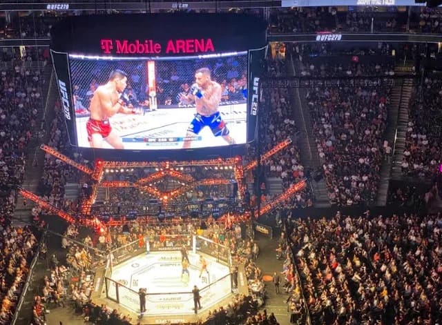ufc-vegas