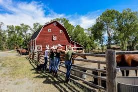 dude-ranch-ouest-americain