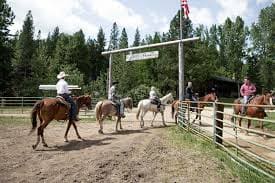 cheval-ranch-ouest-americain