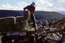 working-ranch-usa