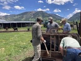 working-ranch-ouest-americian