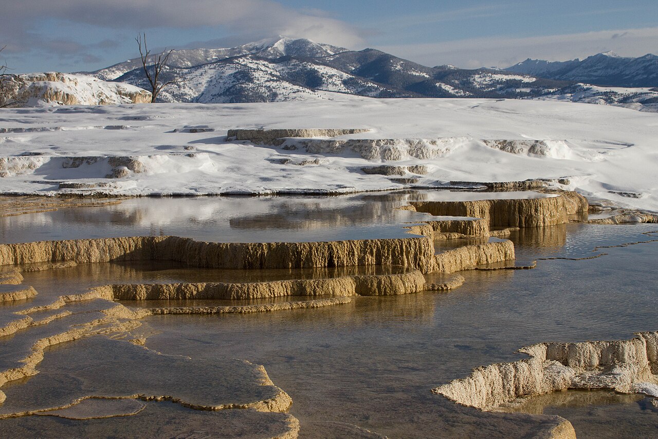 Mammoth Hot Springs